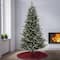6ft. Pre-Lit Snowy Libby Fir Artificial Christmas Tree, Warm White LED Lights
